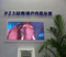 HD Indoor P2.5 LED Advertising Panel
